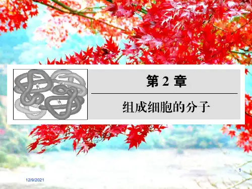高考生物一轮复习第二章组成细胞的分子课件必修1高三必修1生物课件