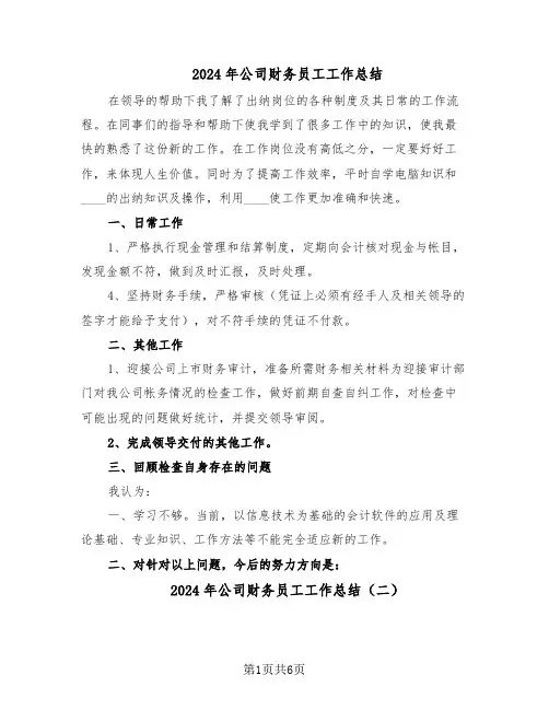 2024年公司财务员工工作总结（5篇）