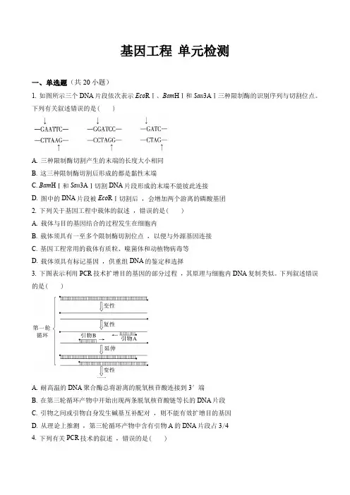 基因工程 单元检测高二下学期生物人教版2019 选择性必修3