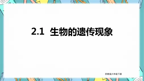 苏教版科学六年级下册  生物的遗传现象 课件