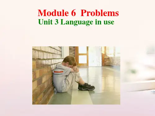 外研版英语九年级上册 Module 6 Unit 3 Language in use.(共18张PPT)