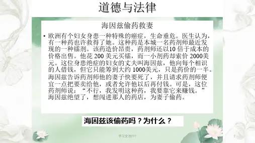 《职业道德与法律课件》第六课-弘扬法治精神---建设法治国家课件