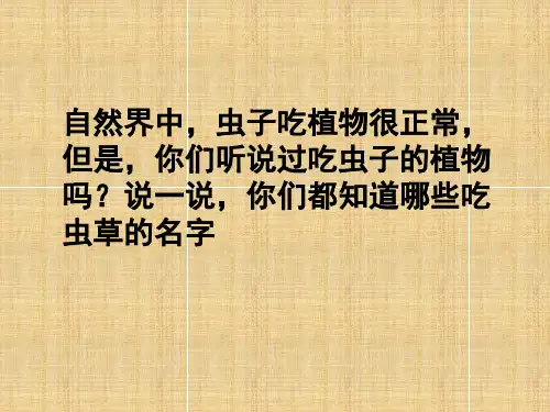 人美版课件 小学二年级下册 吃虫草ppt