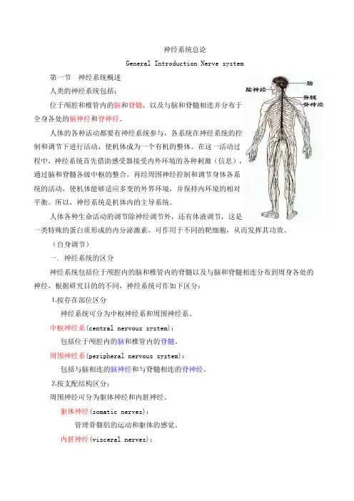神经系统总论