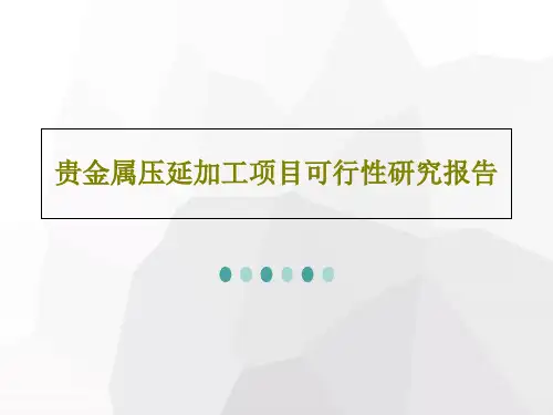 贵金属压延加工项目可行性研究报告共21页
