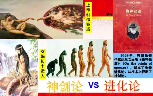 第1课中国早期人类的代表——北京人