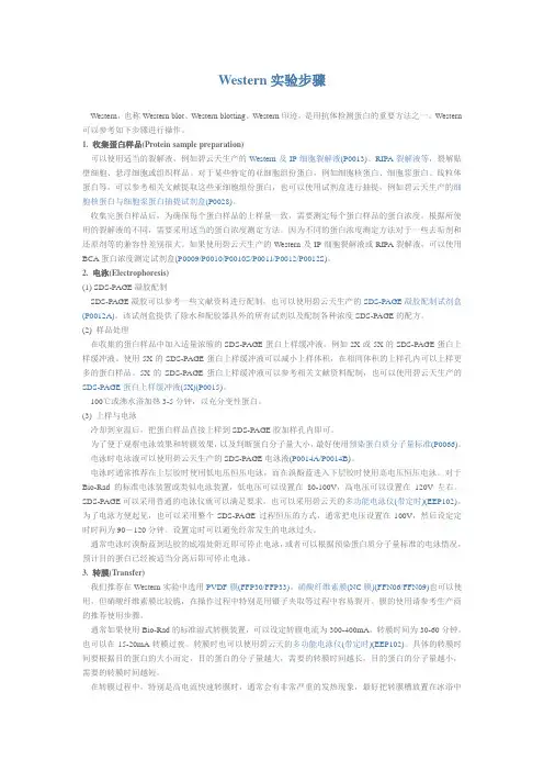 WB试验参考
