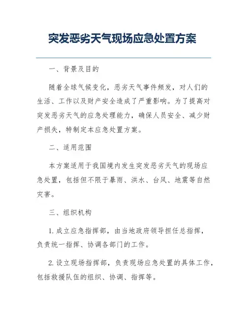 突发恶劣天气现场应急处置方案