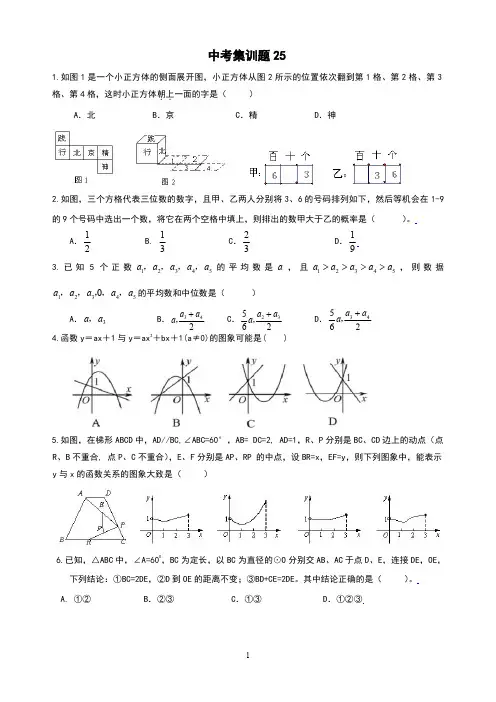 精品 九年级数学 中考集训题 25
