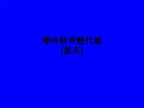 嘌呤核苷酸代谢(重点)ppt课件