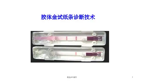 胶体金试纸条检测技术PPT课件