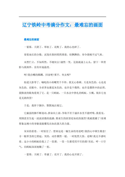 辽宁铁岭中考满分作文：最难忘的画面