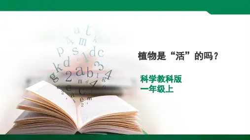 科学一年级上册1.5《植物是“活”的吗？》课件