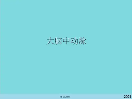 大脑中动脉(共7张PPT)