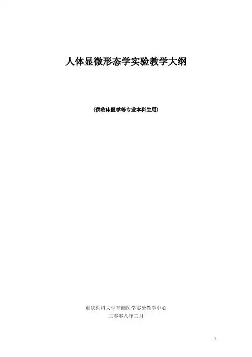 人体显微形态学实验教学大纲