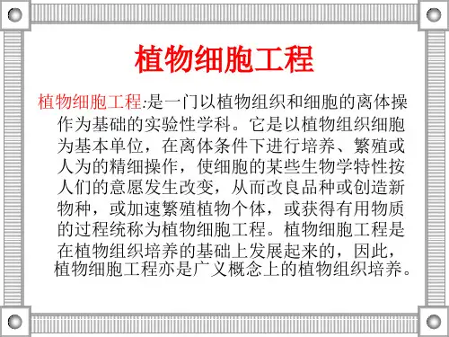 植物细胞 PPT课件 
