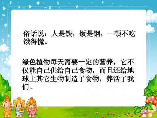 生物第6章第3节植物光合作用的实质精品课件苏教版七年级上