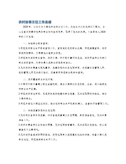 农村治保主任工作总结