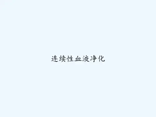 连续性血液净化 PPT