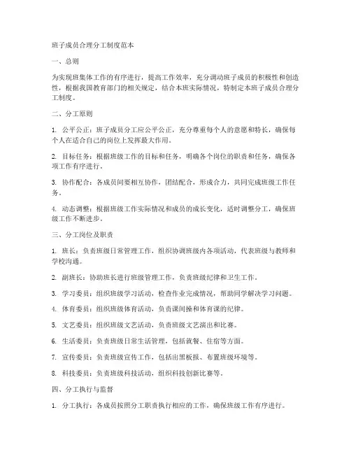班子成员合理分工制度范本