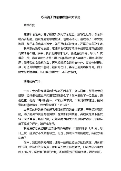 巧治鸽子的嗉囔积食和关节炎