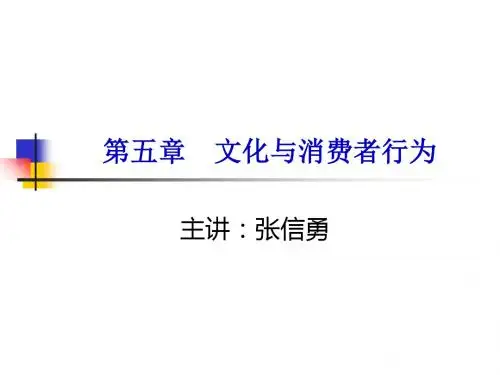 第五章文化与消费者行为-PPT精品文档