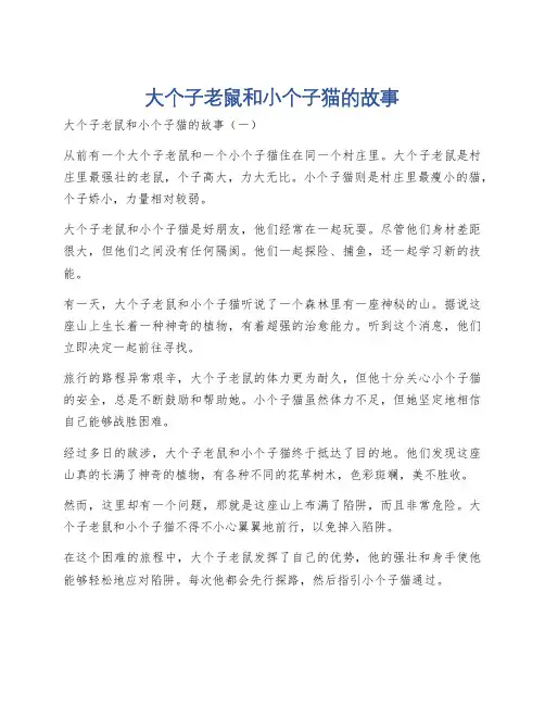 大个子老鼠和小个子猫的故事