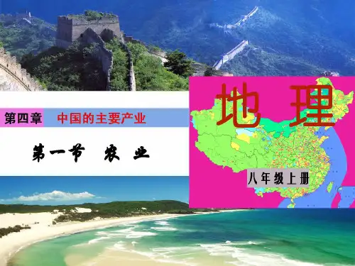 湘教版八年级上册地理：第一节 农业