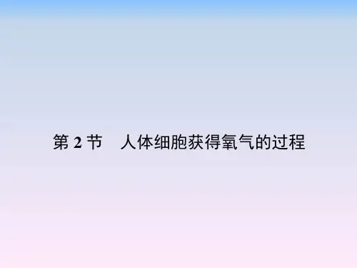 北师大版七年级下册生物 10.2人体细胞获得氧气的过程 课件 (共21页)