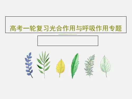 高考一轮复习光合作用与呼吸作用专题共26页文档