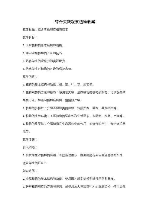 综合实践观察植物教案