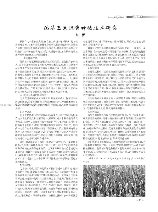 优质玉米绿色种植技术研究