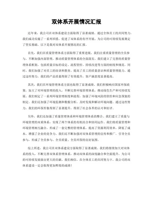 双体系开展情况汇报
