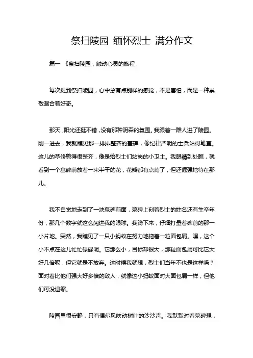 祭扫陵园 缅怀烈士 满分作文 2