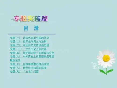2013届中考历史复习方案 专题突破课件 华东师大版