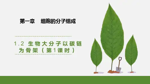 生物大分子以碳链为骨架(第一课时)高一生物课件(浙科版2019必修1)