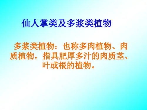 4 仙人掌类及多浆类植物