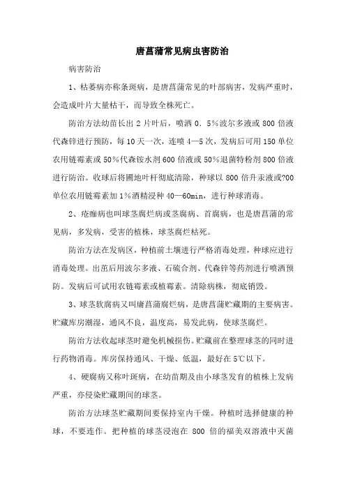 唐菖蒲常见病虫害防治