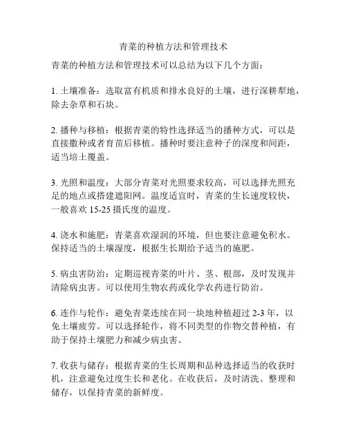 青菜的种植方法和管理技术