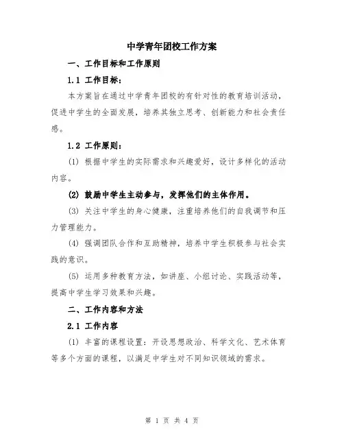 中学青年团校工作方案