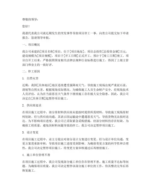 停工原因申请报告