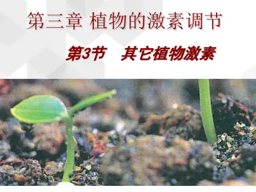 人教版高中生物必修三第3章第3节  其他植物激素  课件(共15张PPT)