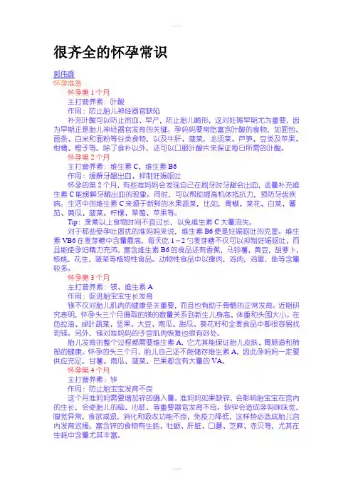 《怀孕常识》word版