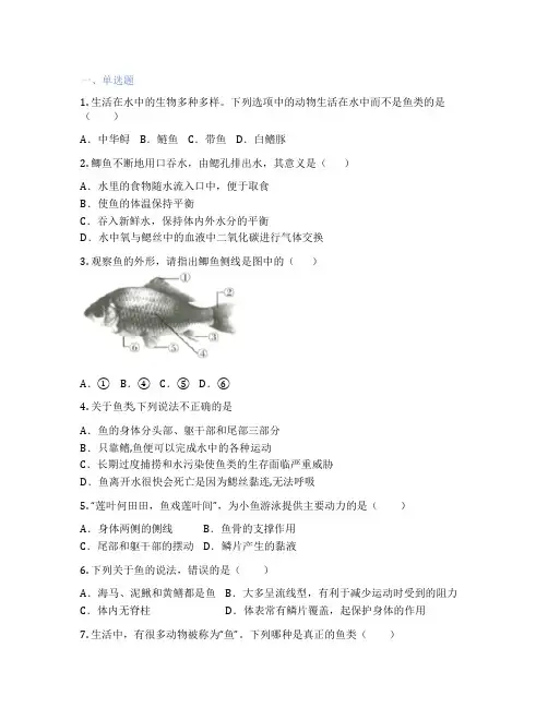 人教版生物 八年级上册 第四节 鱼 课后练习题