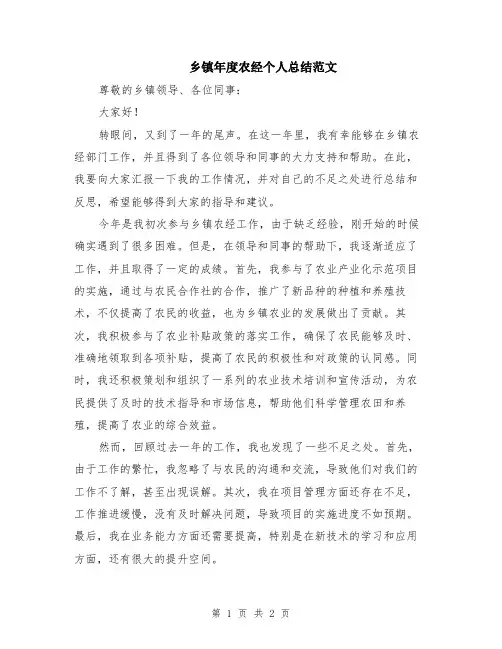 乡镇年度农经个人总结范文