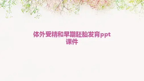 体外受精和早期胚胎发育课件