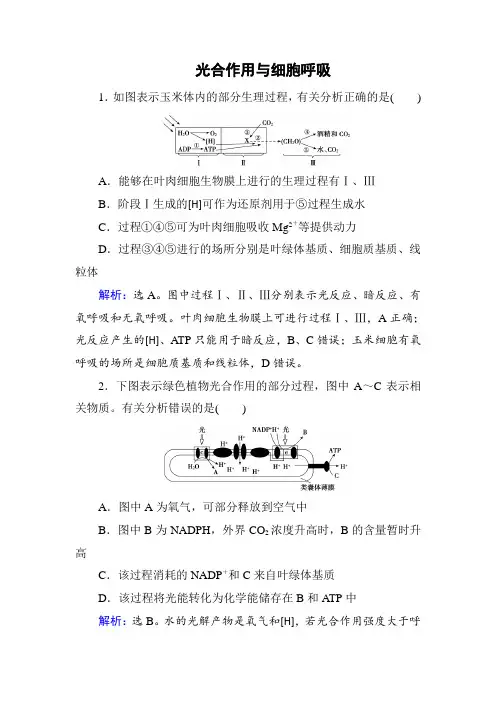 2018届二轮 光合作用与细胞呼吸 专题卷(全国通用)