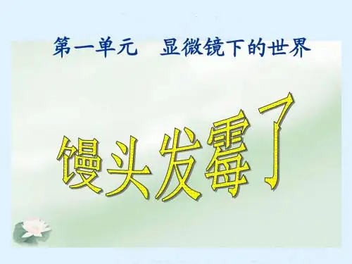 六年级科学上册课件_馒头发霉了