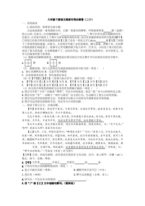 八年级下册语文阅读专项必刷卷20 试卷(含答案)