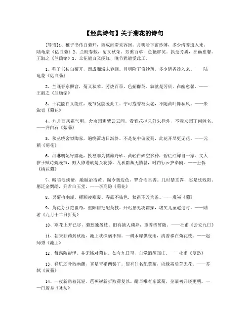 【经典诗句】关于菊花的诗句